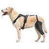 orthoDog Knee Brace for Left Leg Adjustable ACL Dog Leg Support Brace Pain Relief