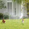 PawHut 6 Piece Dog Agility Training Equipment Set with 3 Hurdles, Spray Water Tube, Whistle, Carry Bag, White