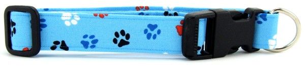 Aqua Red, White & Blue Paws Dog Collar (size: X-Large)