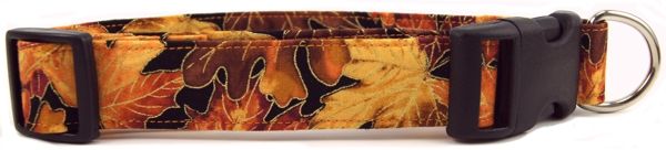 Autumn Leaves Dog Collar (size: X-Small)