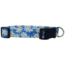 Blue Daisies Dog Collar (size: X-Small)