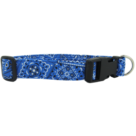 Bright Blue Bandana Dog Leash (size: large)