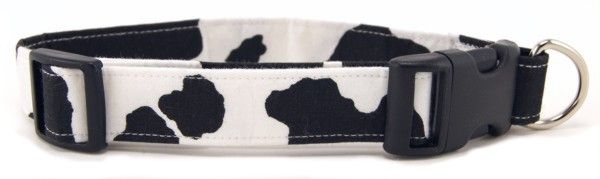 Cow Print Dog Collar (size: X-Small)