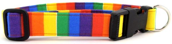 Rainbow Pride Dog Collar (size: large)