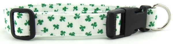 Shiny Shamrocks on White Dog Collar (size: X-Small)