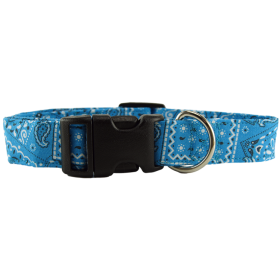 Turquoise Bandana Dog Collar (size: medium)